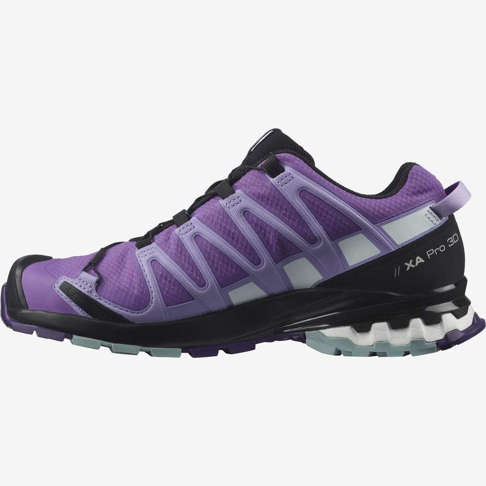 Royal Lavender Salomon Xa Pro 3d V8 Gore-Tex Women's Hiking Shoes | 467501QFZ