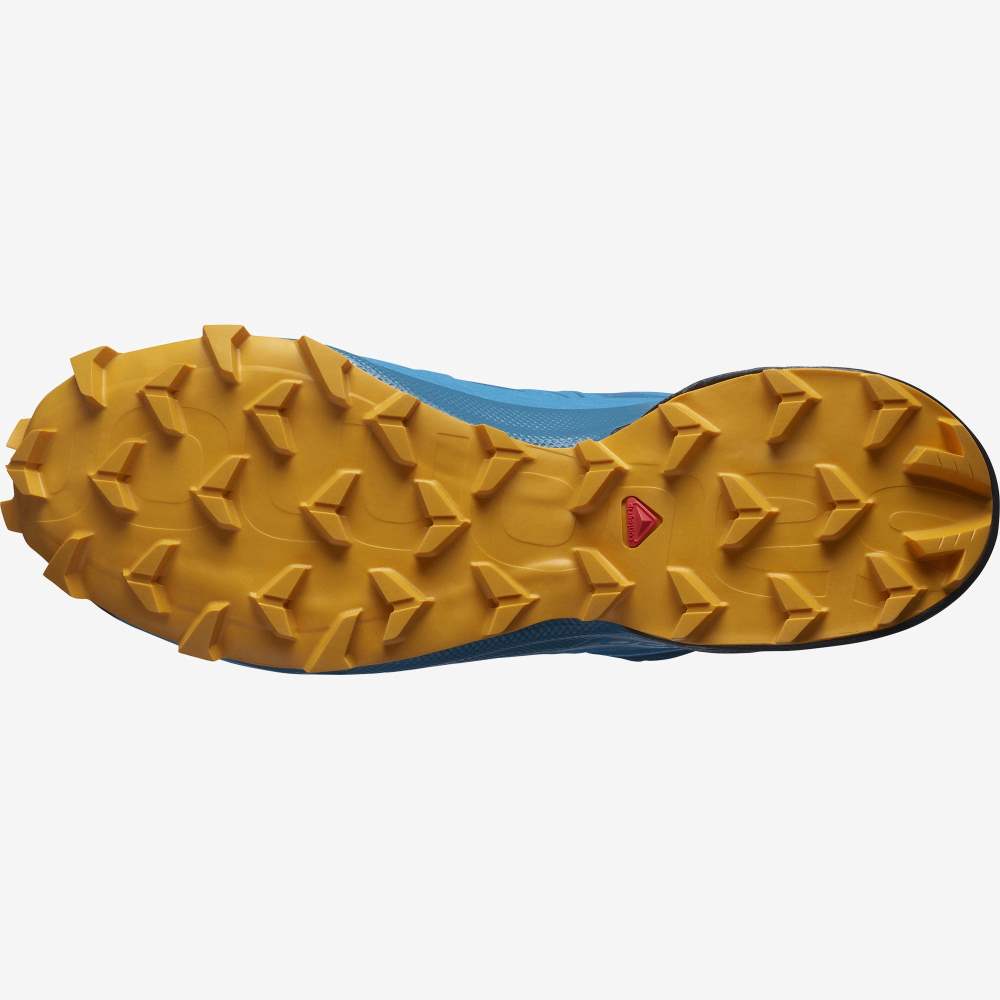 Turquoise Gold Salomon Speedcross 5 Men's Trail Running Shoes | 831976AMF