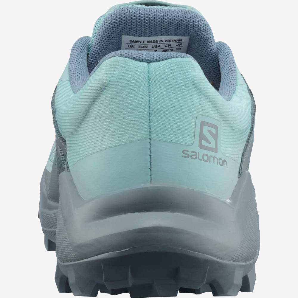 Turquoise Salomon Wildcross Gtx Women's Trail Running Shoes | 576183YDK