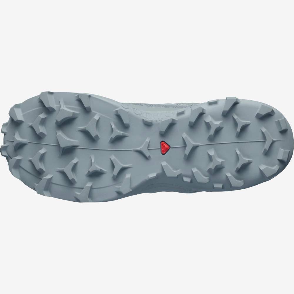 Turquoise Salomon Wildcross Gtx Women's Trail Running Shoes | 576183YDK