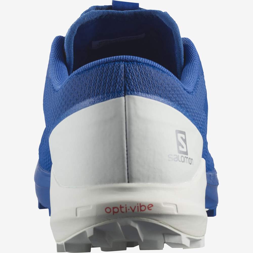 White Blue Salomon Sense Pro 4 Men's Trail Running Shoes | 907864AQK