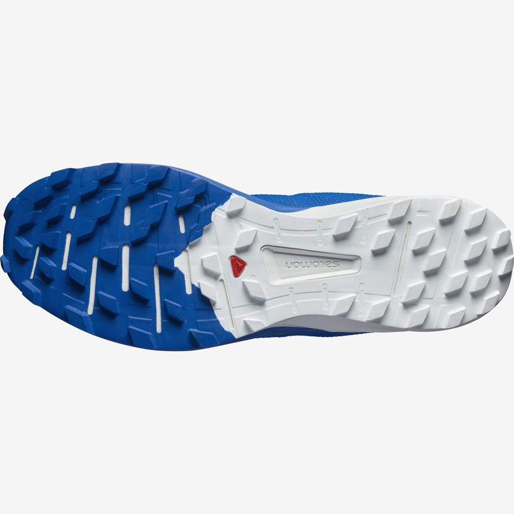 White Blue Salomon Sense Pro 4 Men's Trail Running Shoes | 907864AQK