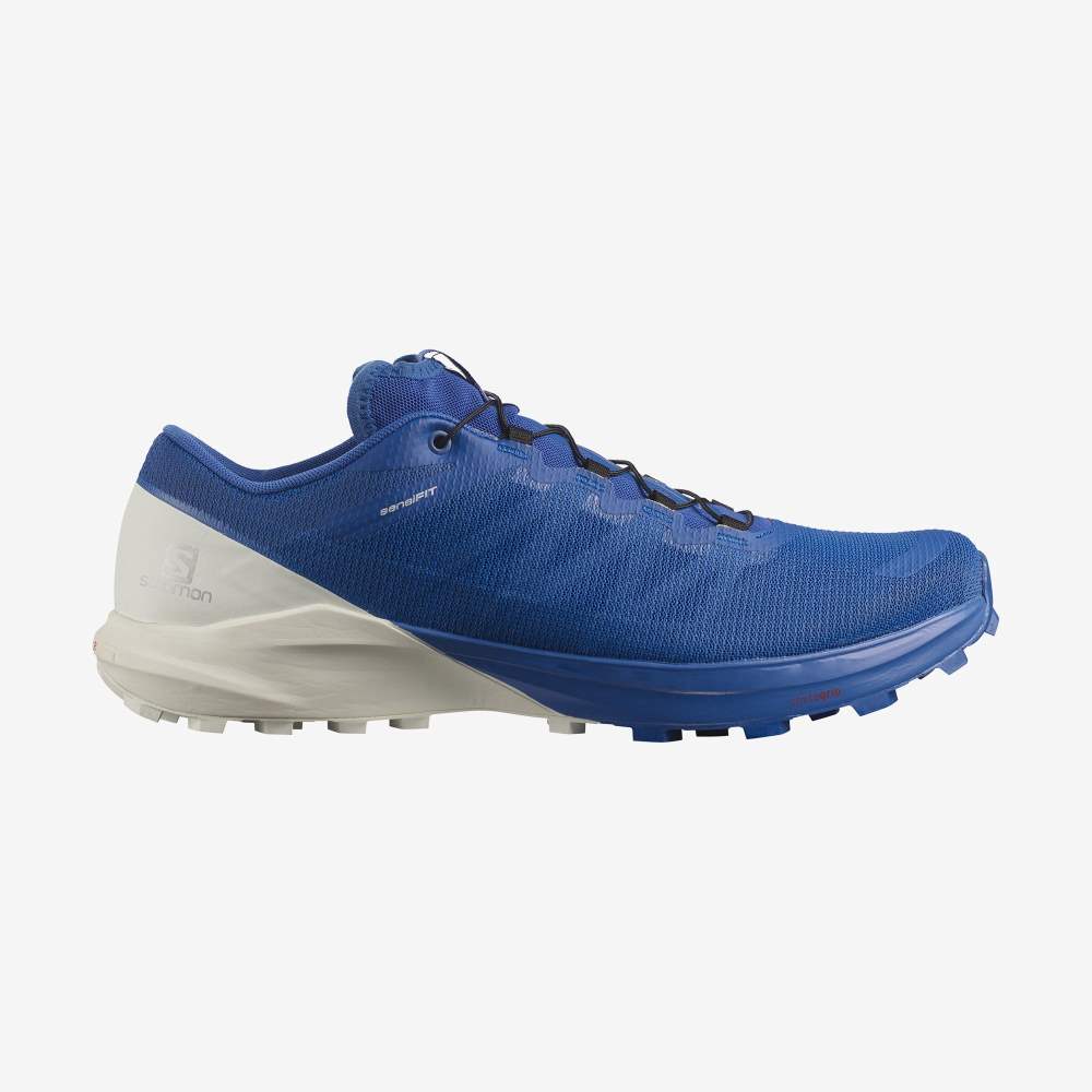 White Blue Salomon Sense Pro 4 Men\'s Trail Running Shoes | 907864AQK
