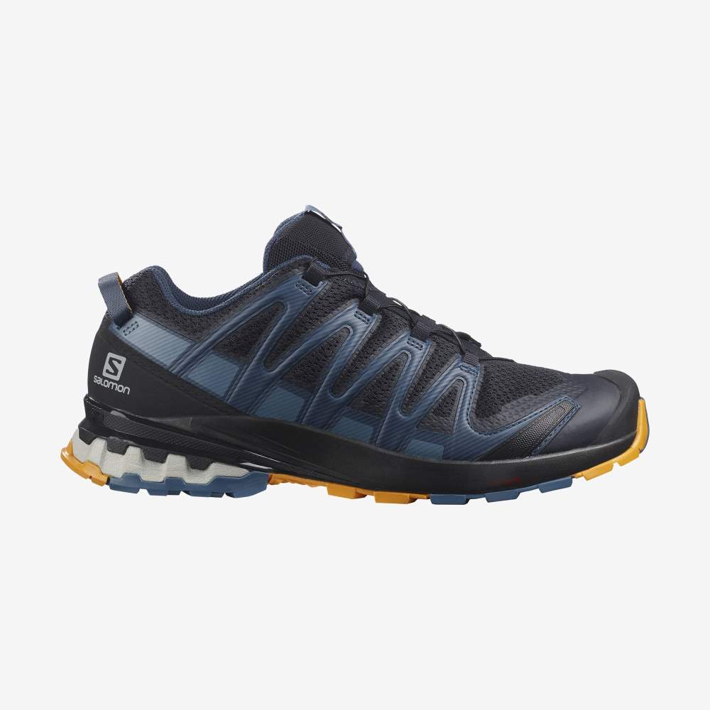 Black Blue Salomon Xa Pro 3d V8 Men's Hiking Shoes | 167904KPA
