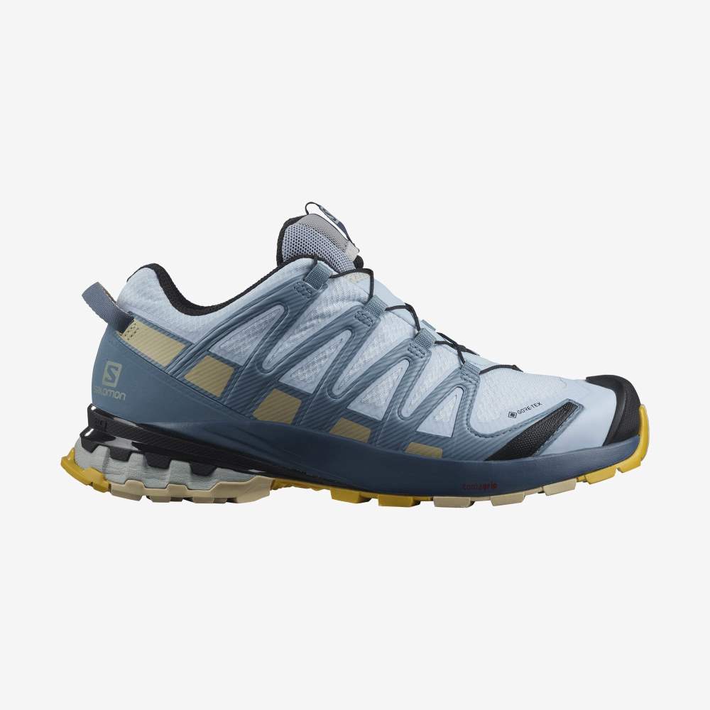 Blue Salomon Xa Pro 3d V8 Gore-Tex Women's Hiking Shoes | 672358ITN