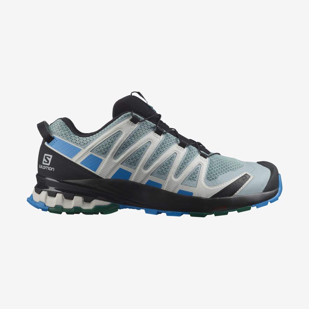 Blue Salomon Xa Pro 3d V8 Men's Hiking Shoes | 793061DXV