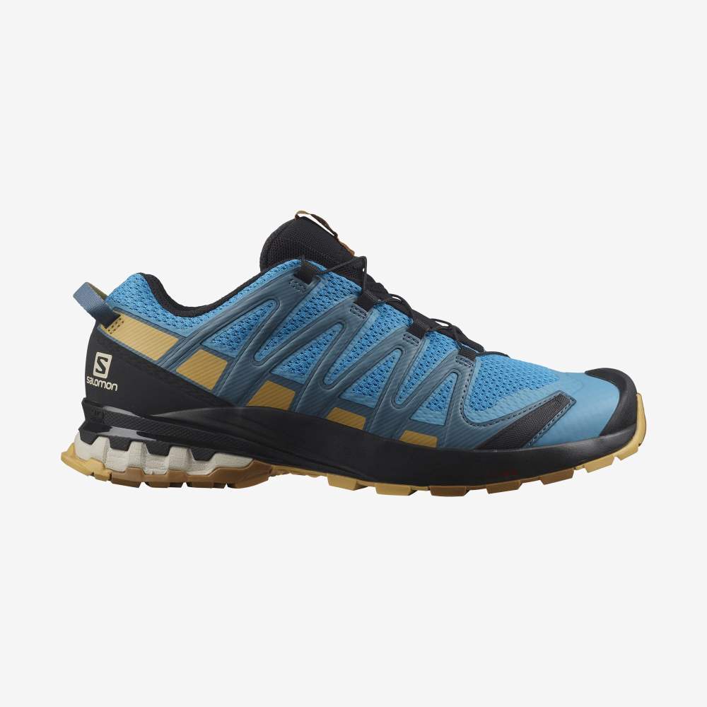 Brown Salomon Xa Pro 3d V8 Men's Hiking Shoes | 157086JQZ